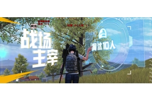 和平精英汤圆辅助-和平精英容器直装绘制汤
