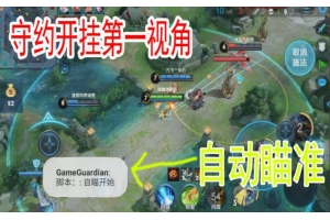 王者荣耀守约外挂购买-王者荣耀守约外挂购买指南：选购技巧、使用注意事项及安全建议（王者荣耀守约挂下载）