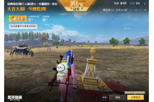 和平精英逆水直装-和平精英透视显血防封科技
